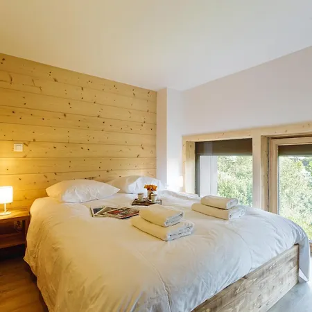 Résidence Grand Roc - Ancolies 216 - Happy Rentals Chamonix Esterno foto